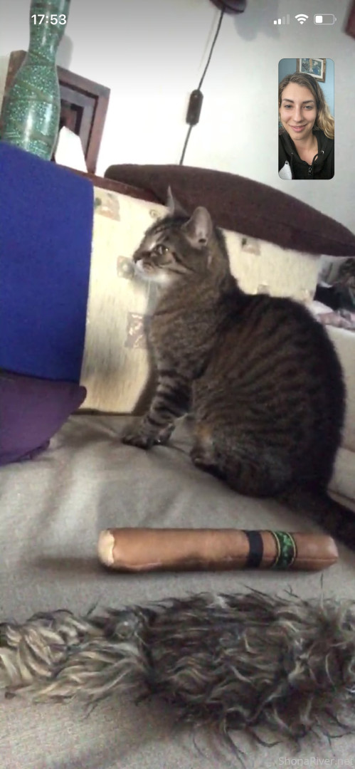 Photo by shonariver published on June 5,2023 06:48:39 - BestThots