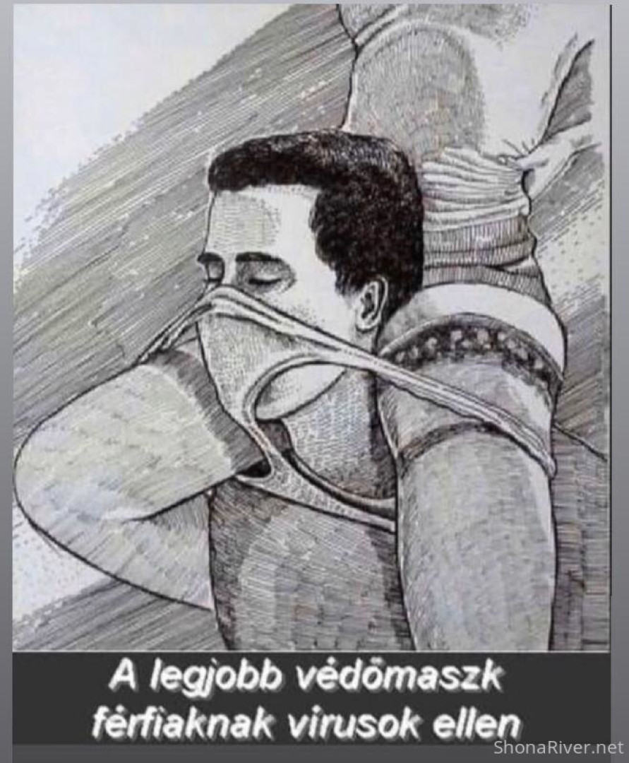 Photo by shonariver published on June 5,2023 06:49:58 - BestThots