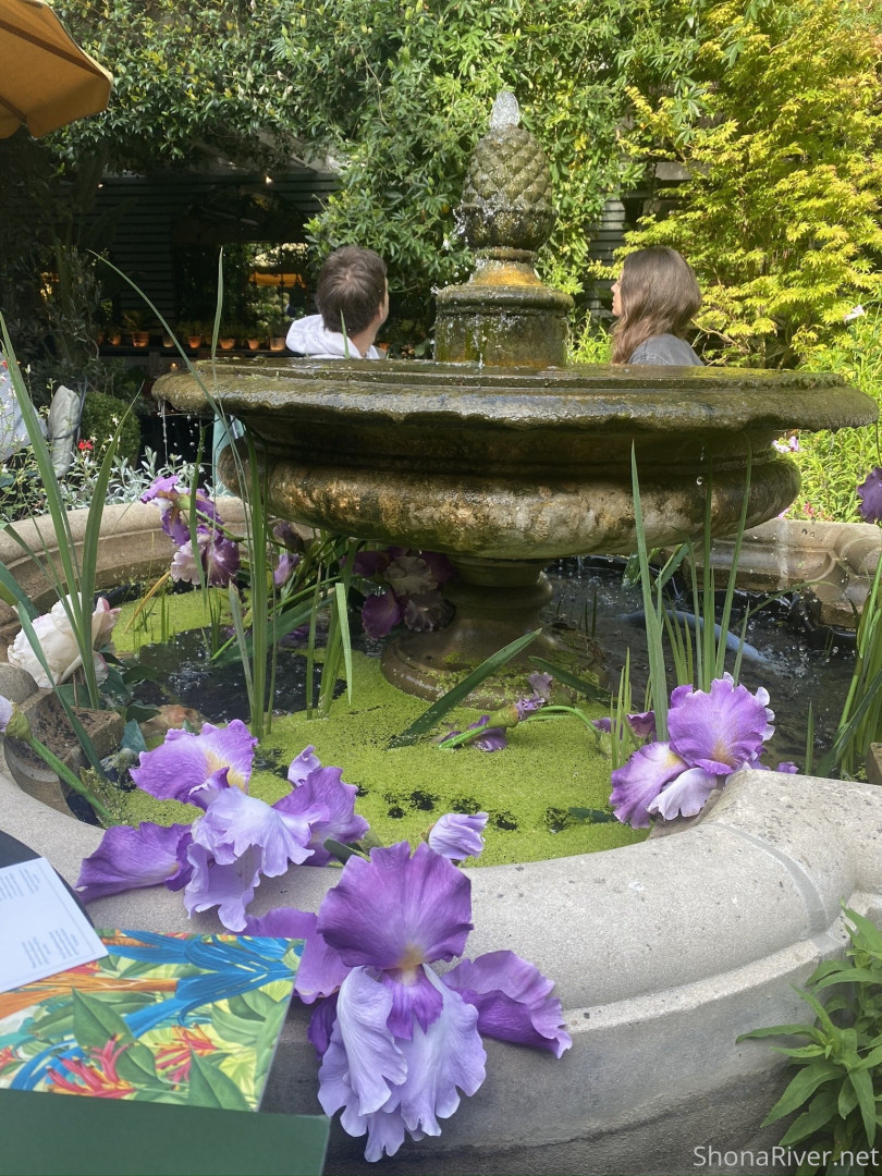 Photo by shonariver published on June 5,2023 06:51:17 - BestThots