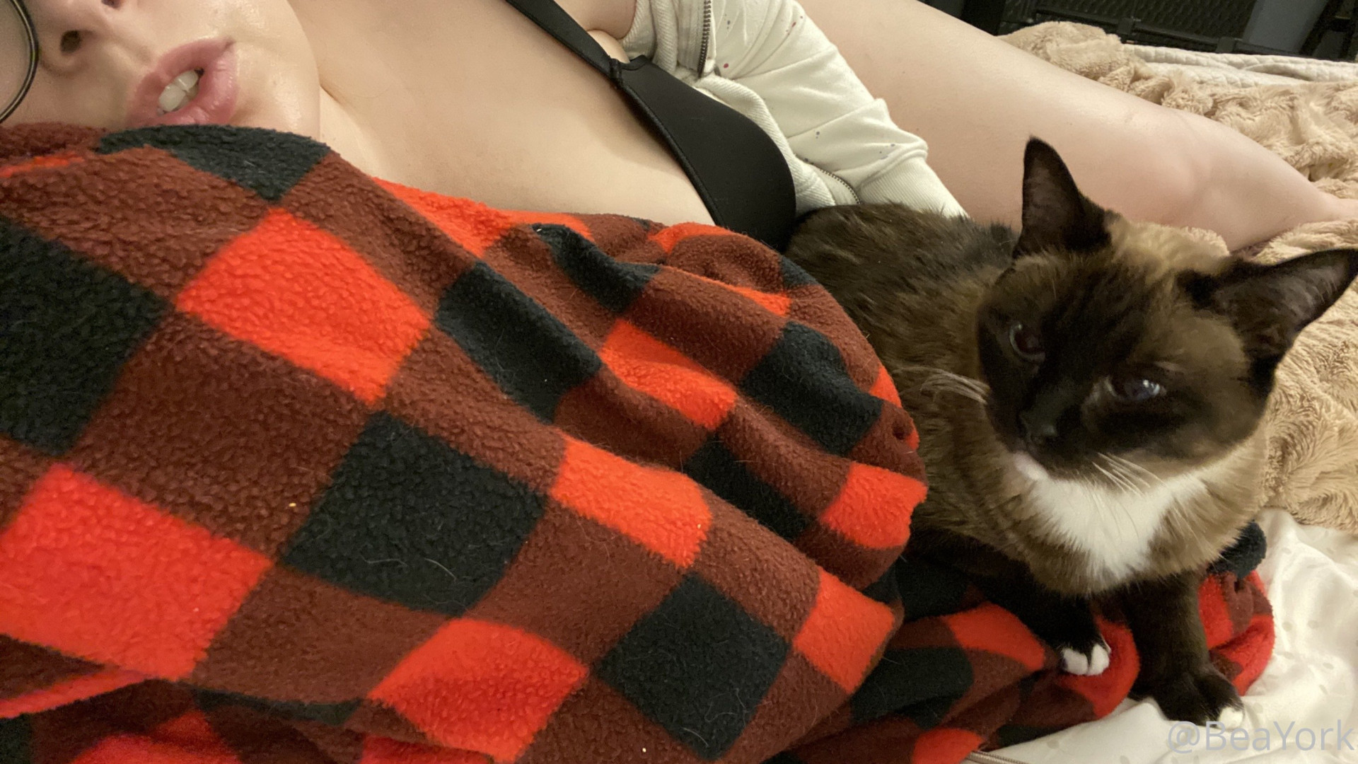 Photo by beayork published on December 11,2023 02:00:51 - BestThots