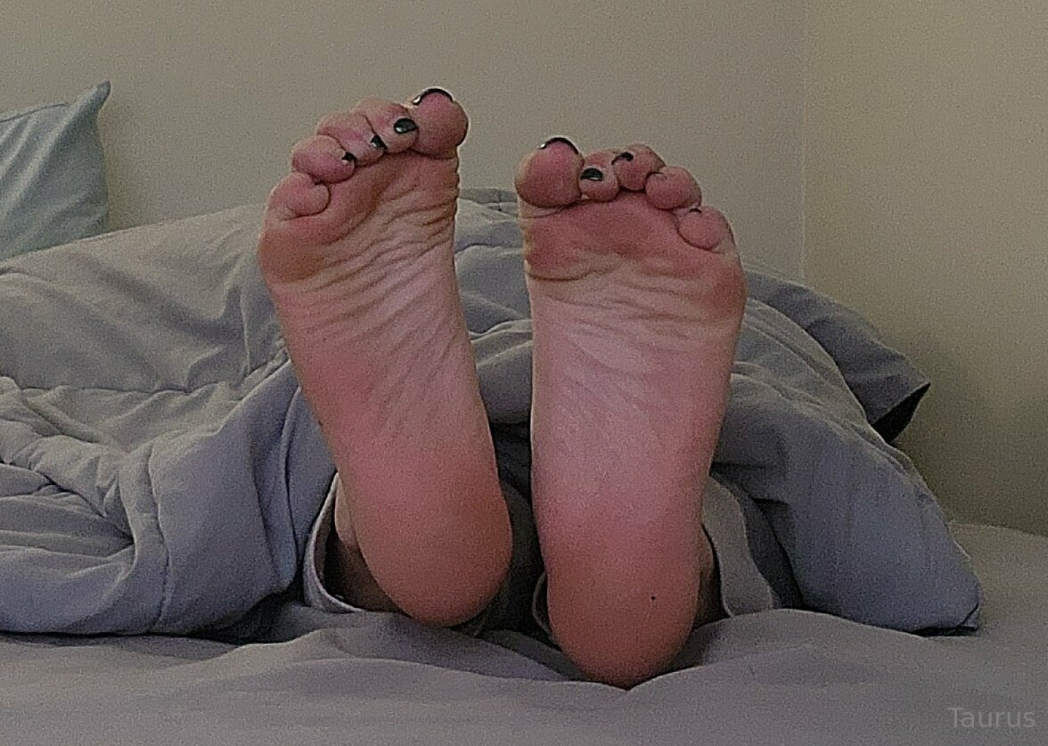 Photo by tastytaurustoes published on October 15,2023 12:00:28 - BestThots