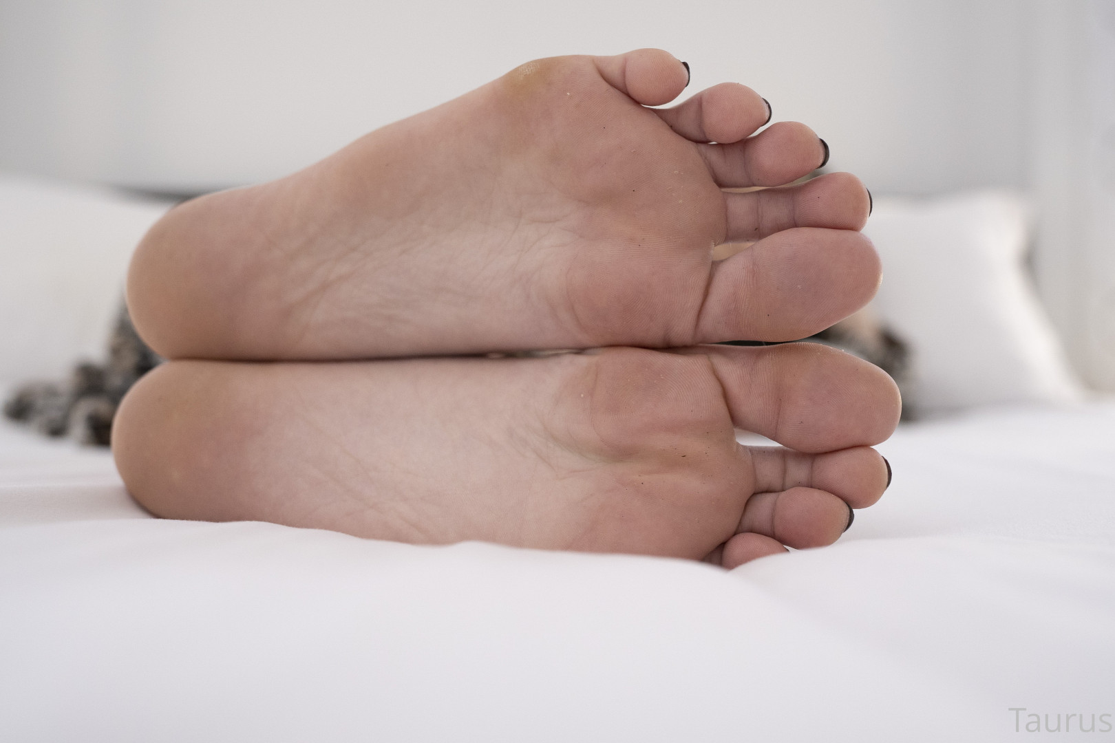 Photo by tastytaurustoes published on October 15,2023 15:42:31 - BestThots