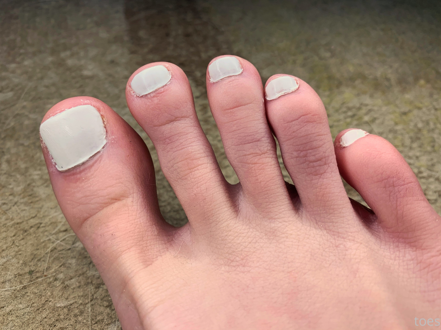 Photo by tastytaurustoes published on October 15,2023 17:15:38 - BestThots