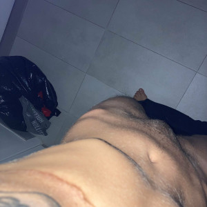 noahwithnoark #350761