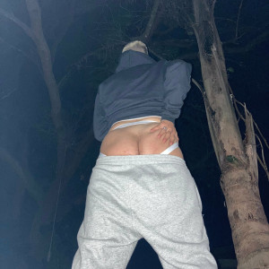 noahwithnoark #350768