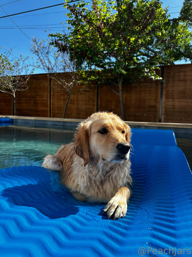 Photo by peachjars published on August 18,2023 04:49:17 - BestThots