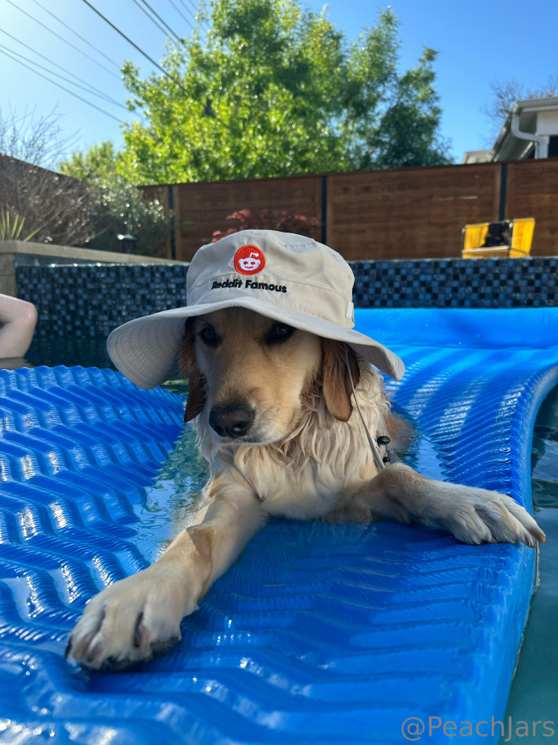 Photo by peachjars published on August 18,2023 04:52:07 - BestThots