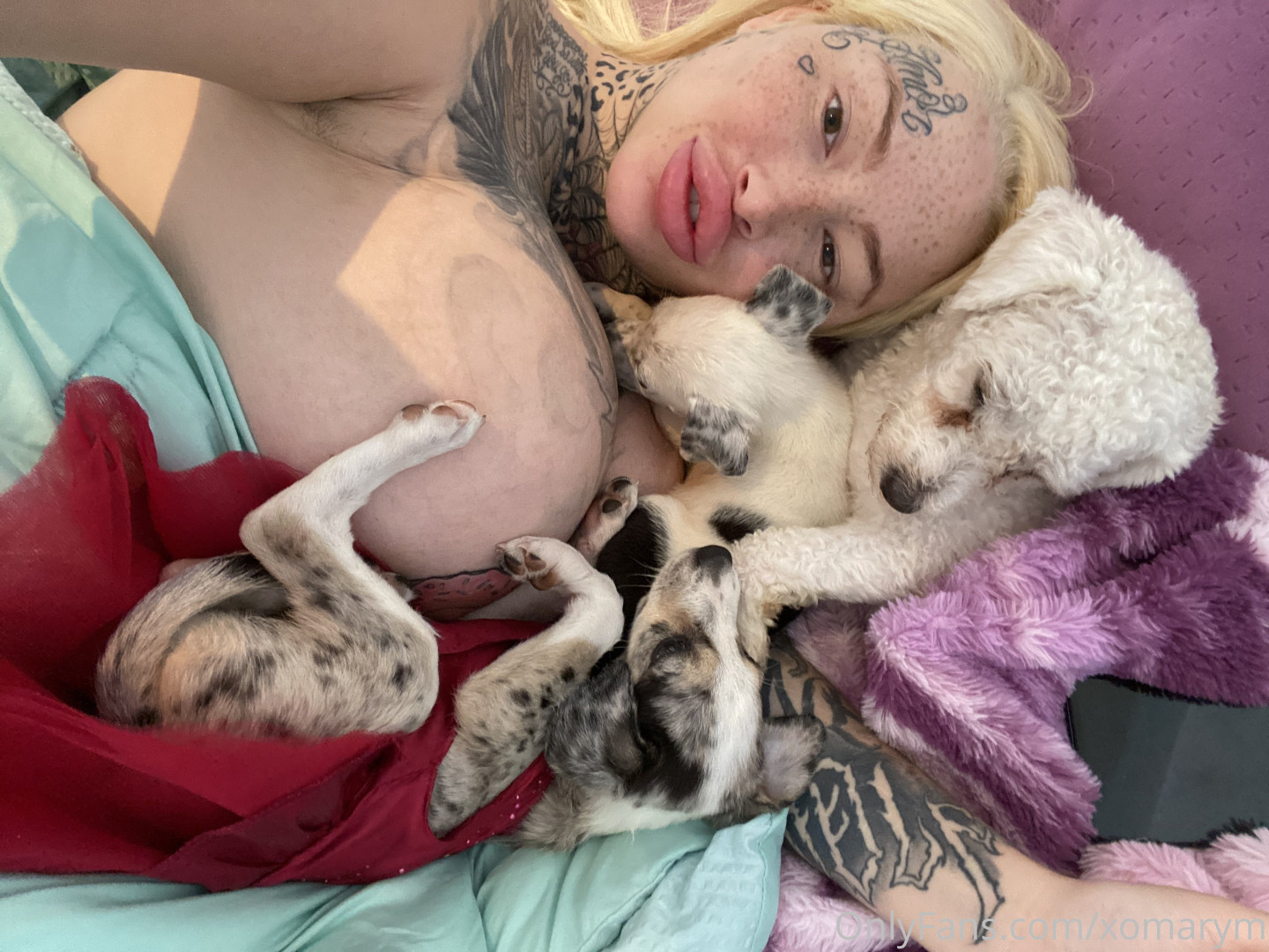 Photo by xomarym published on August 10,2023 05:49:40 - BestThots