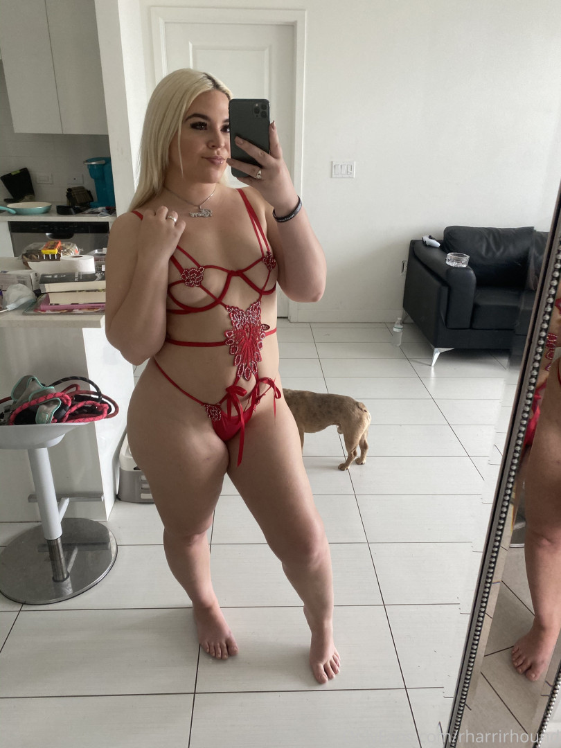 Photo by rharrirhound published on May 18,2023 20:13:30 - BestThots