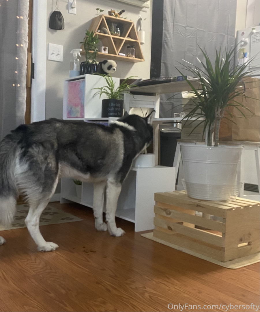 Photo by cybersofty published on August 31,2023 14:08:41 - BestThots