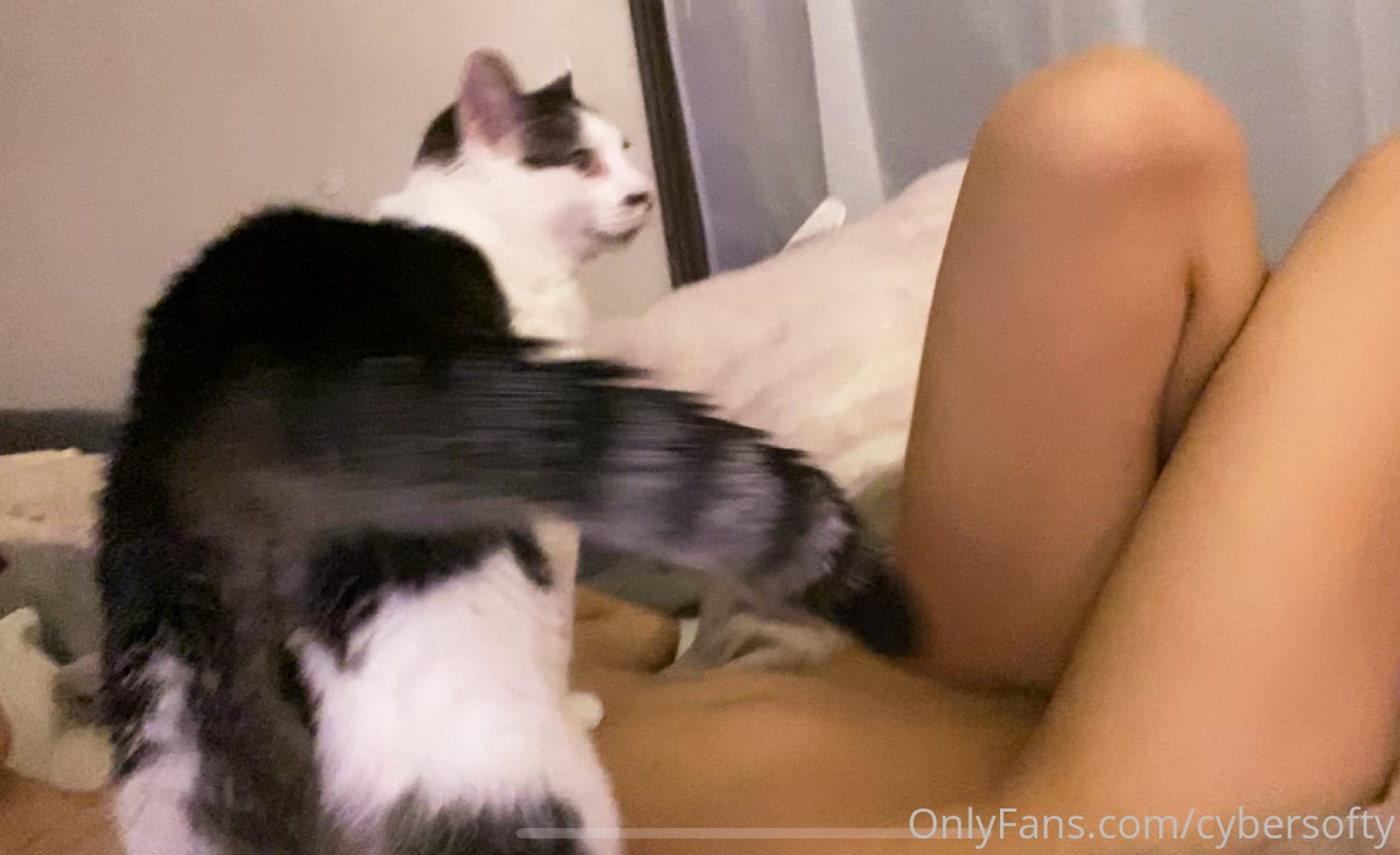 Photo by cybersofty published on August 31,2023 15:22:52 - BestThots