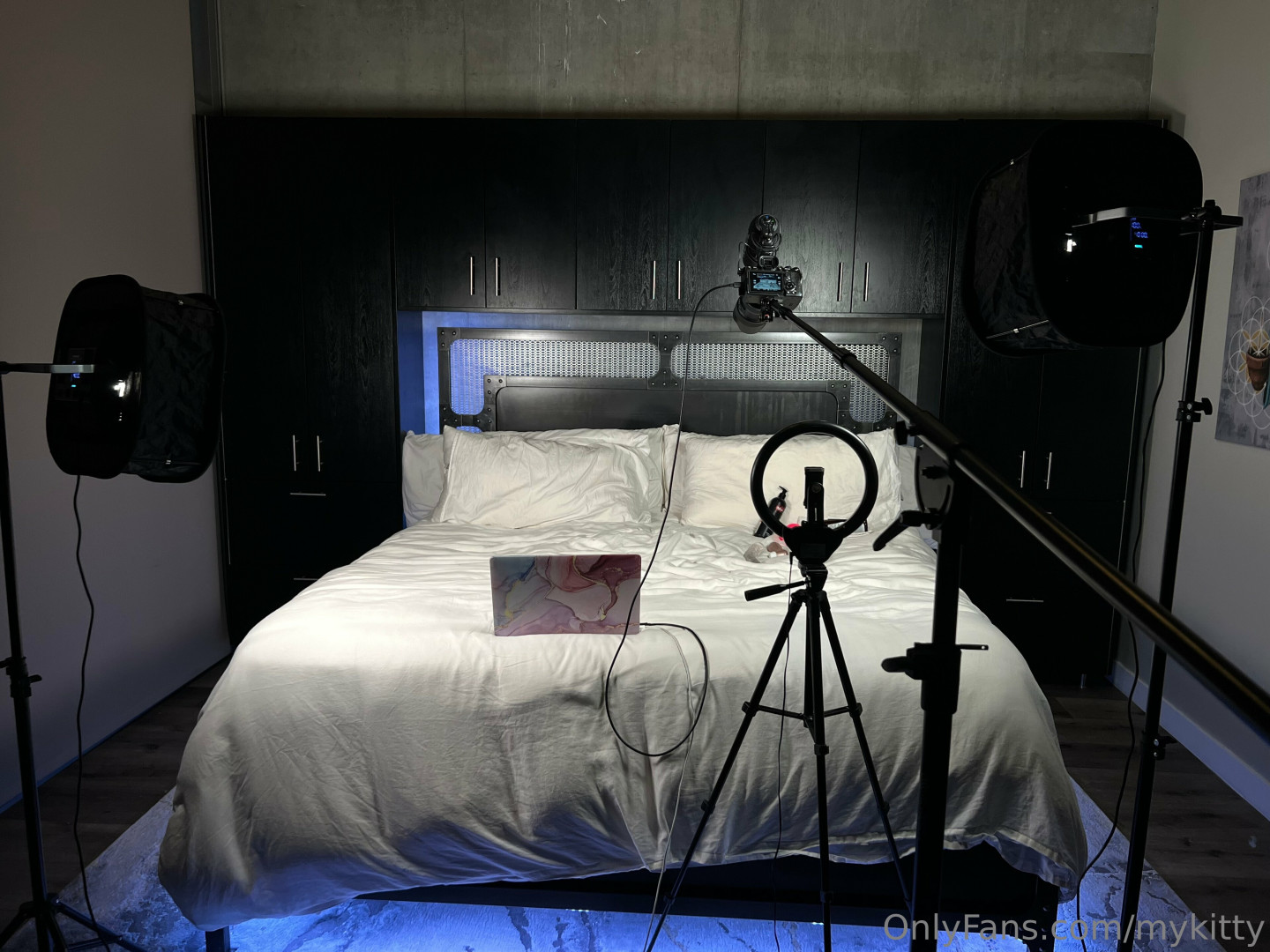 Photo by mykitty published on July 6,2023 15:51:10 - BestThots