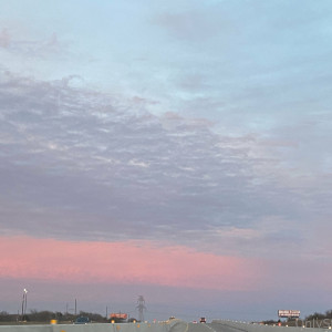 stellarstella #166664