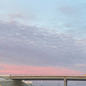 stellarstella #166666