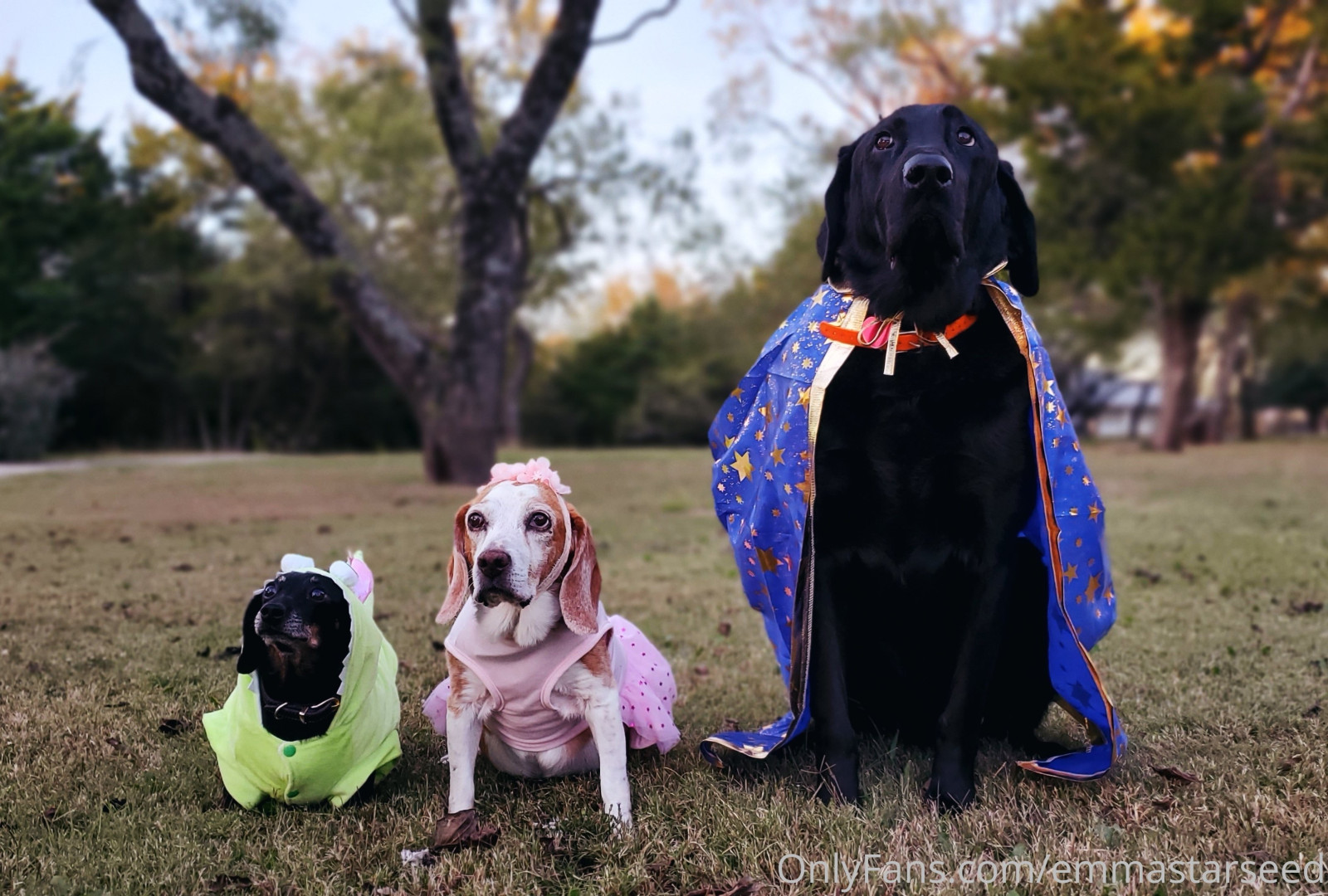 Photo by emmastarseed published on June 9,2023 23:50:59 - BestThots