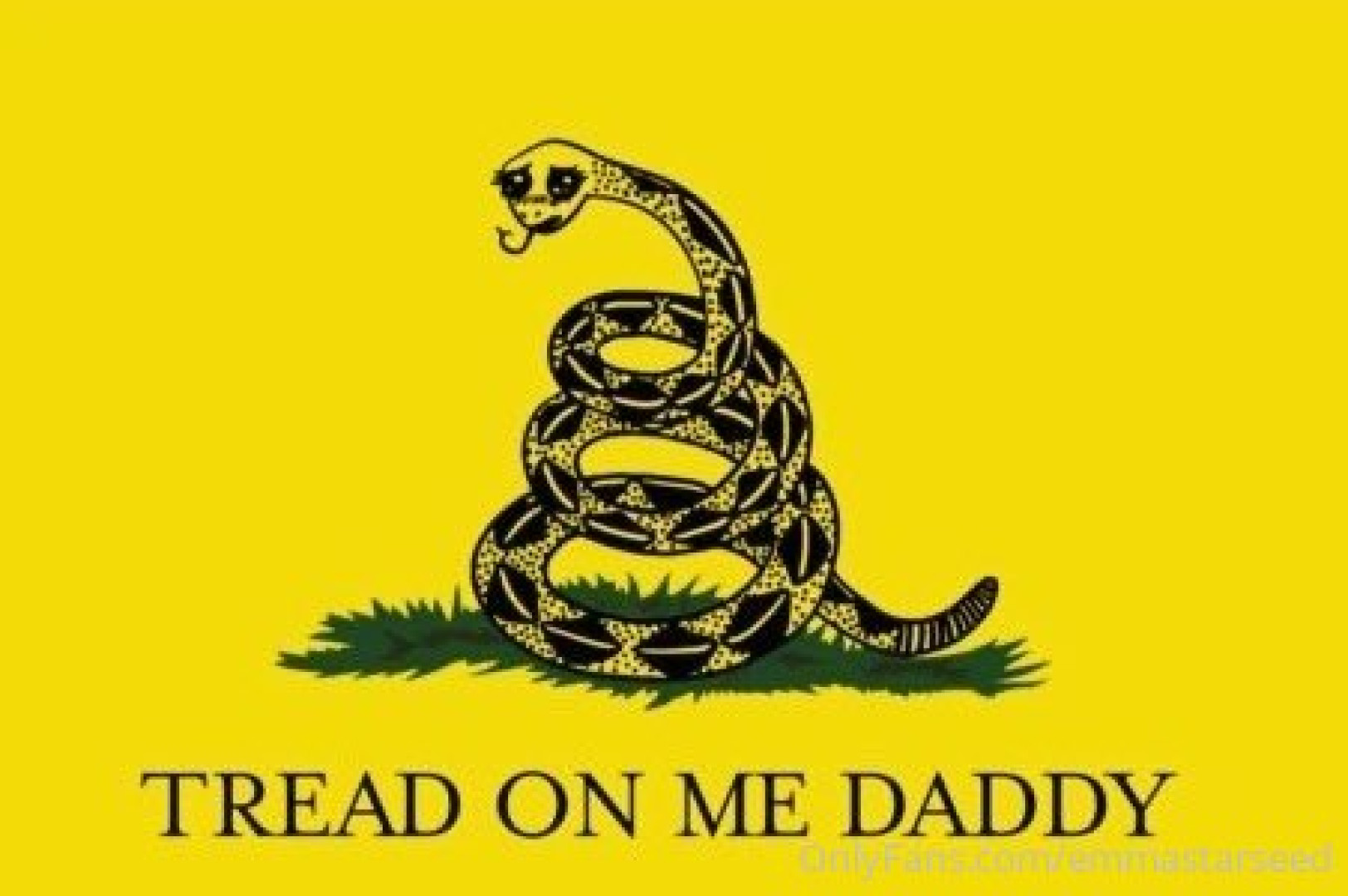 Photo by emmastarseed published on June 10,2023 00:06:08 - BestThots