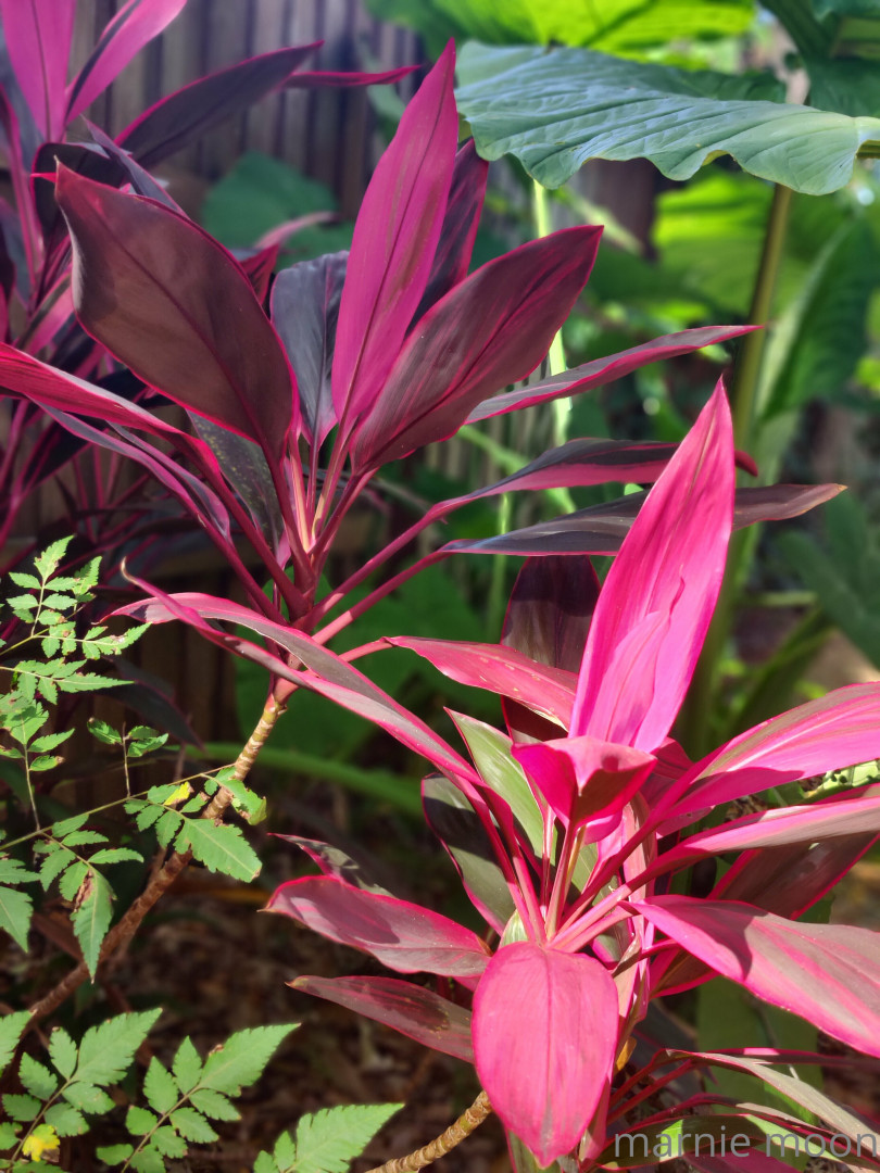 Photo by thesavorypie published on May 16,2023 21:17:01 - BestThots