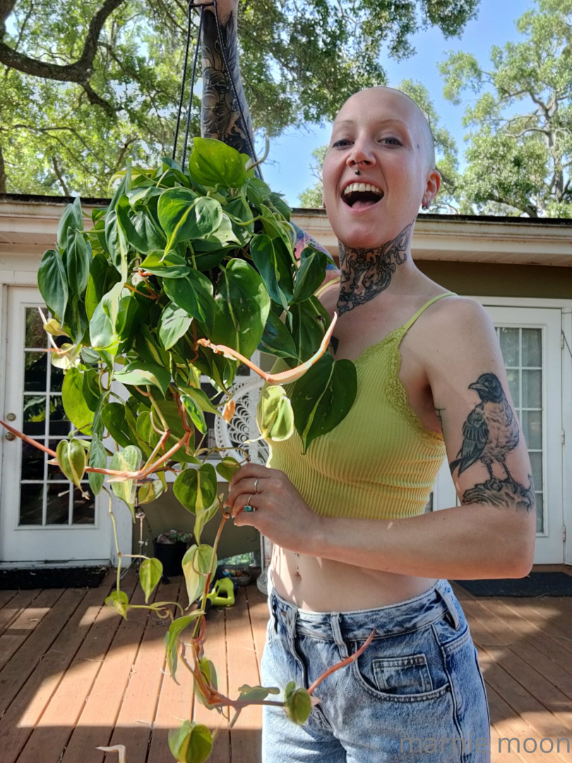 Photo by thesavorypie published on May 16,2023 21:18:54 - BestThots