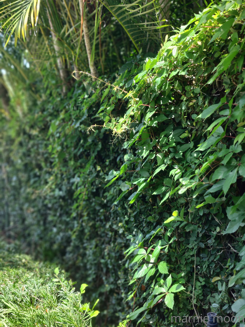 Photo by thesavorypie published on May 16,2023 21:21:05 - BestThots