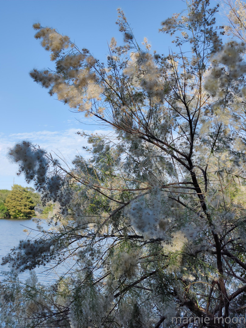 Photo by thesavorypie published on May 16,2023 21:22:53 - BestThots