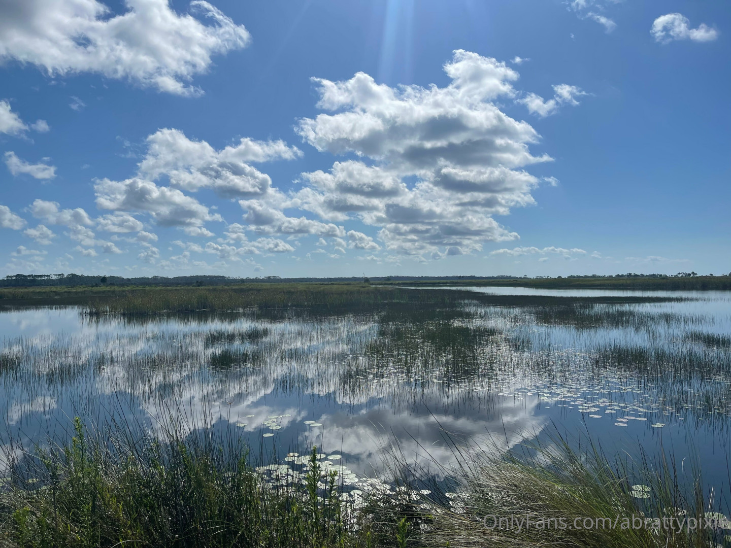 Photo by abrattypixie published on October 16,2023 21:17:24 - BestThots