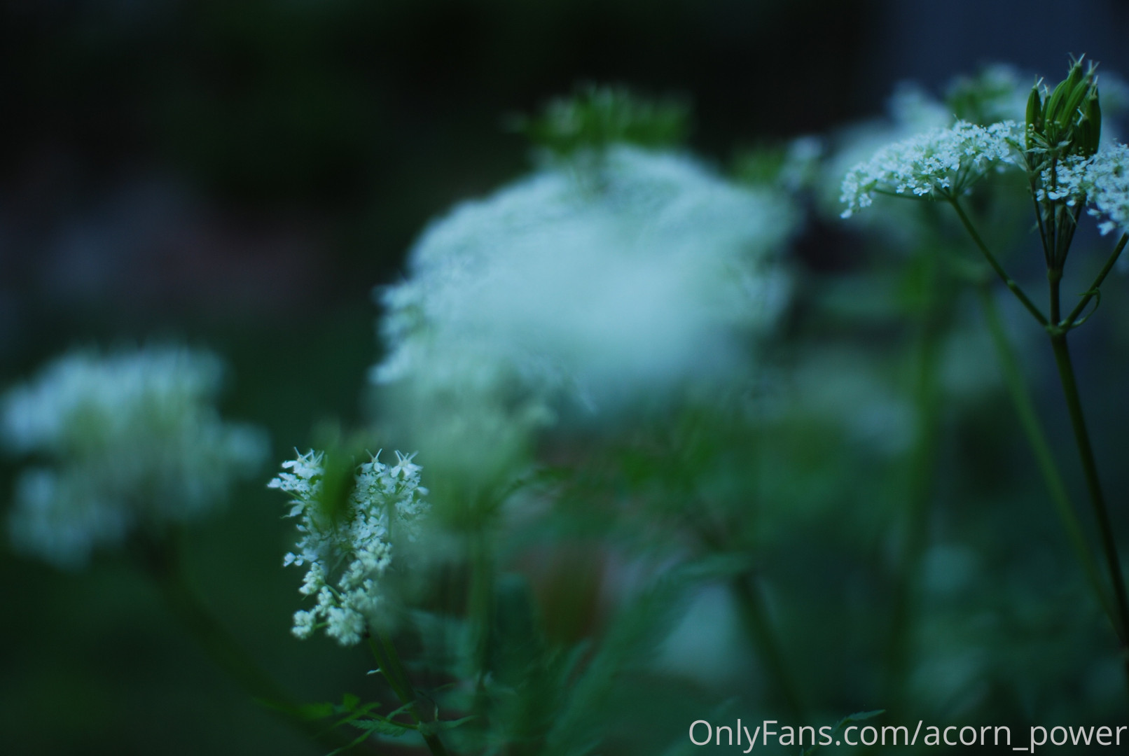 Photo by claire_moulin published on January 12,2024 06:38:24 - BestThots