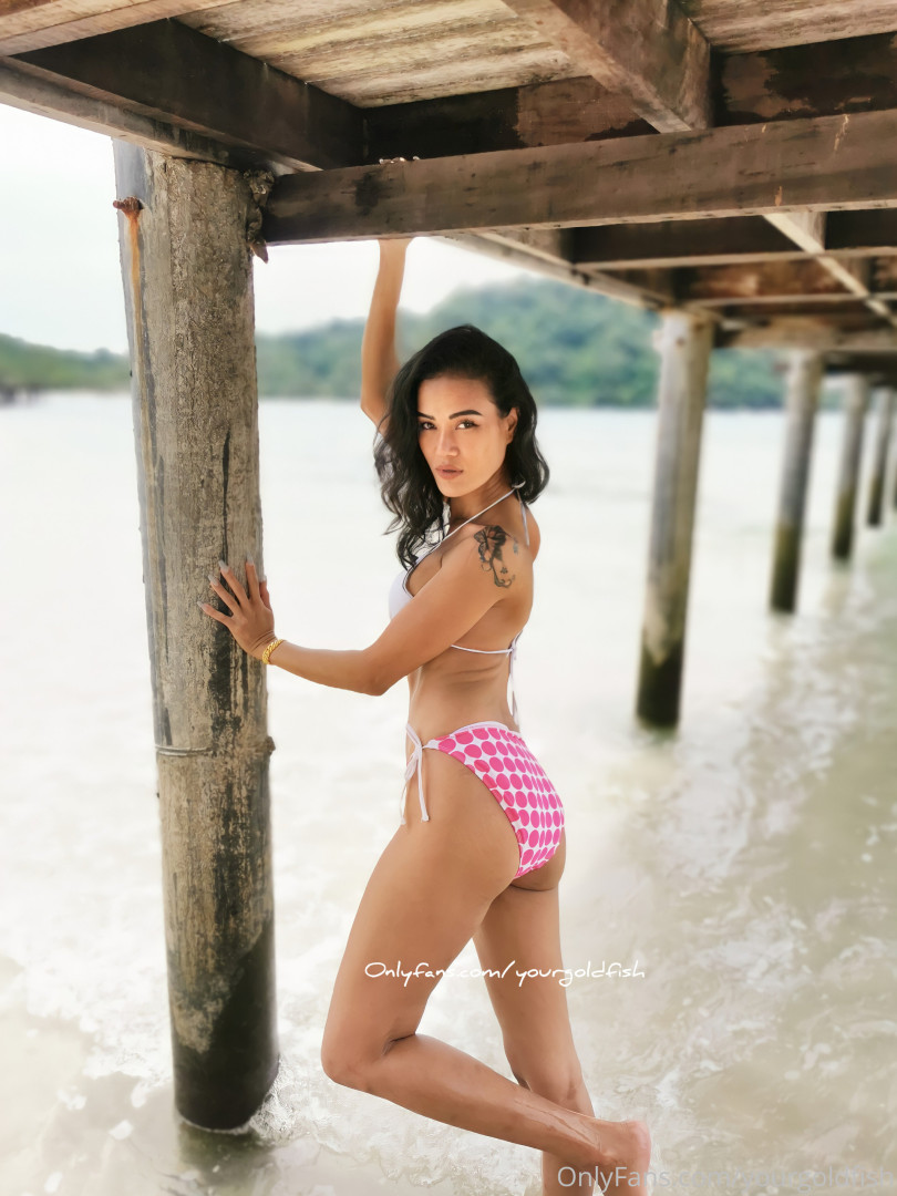 Photo by yourgoldfish published on May 15,2023 18:48:55 - BestThots