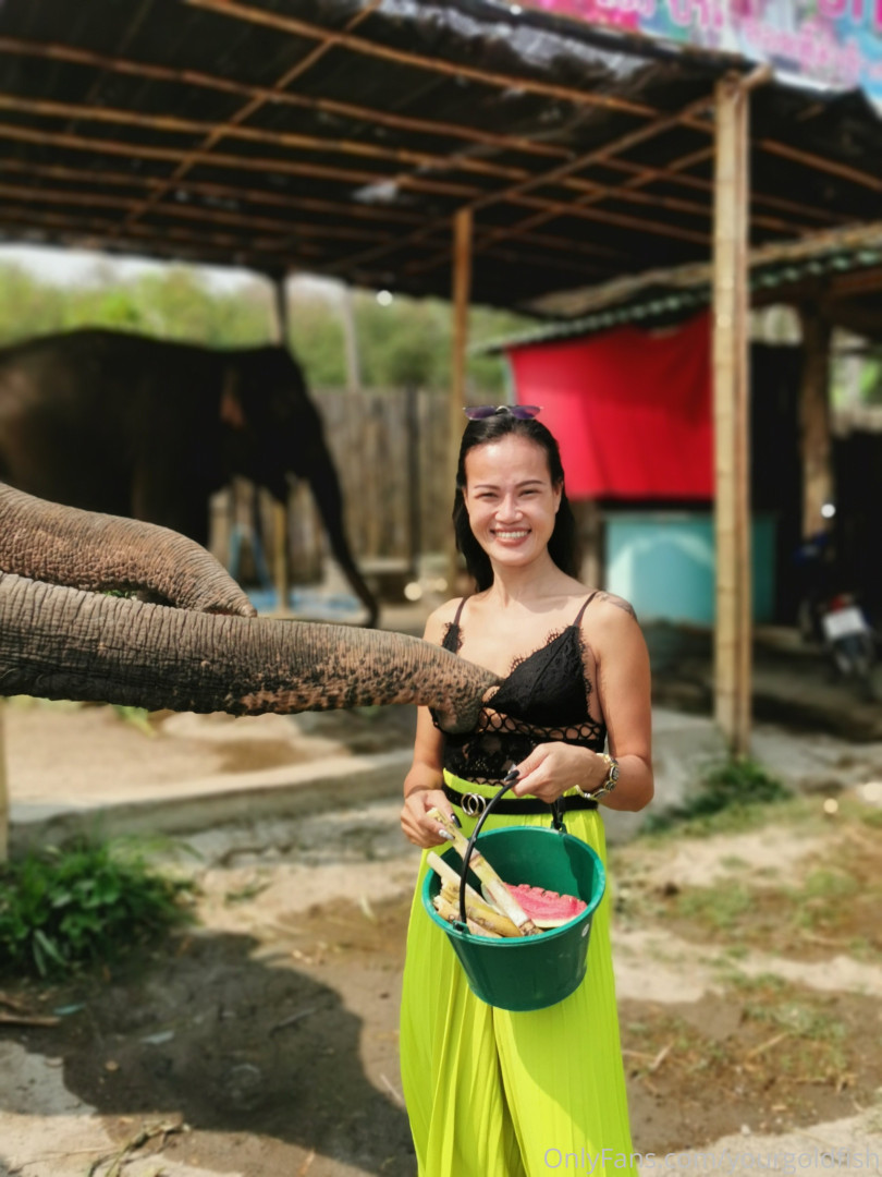 Photo by yourgoldfish published on May 15,2023 18:49:32 - BestThots