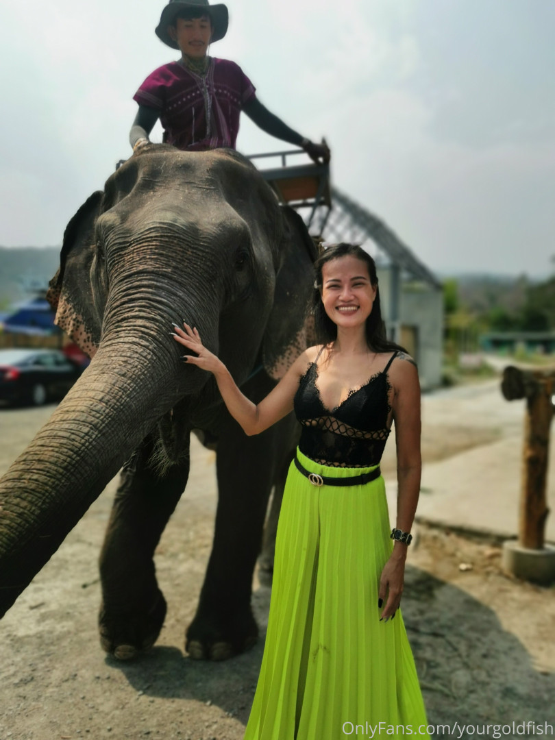 Photo by yourgoldfish published on May 15,2023 18:50:01 - BestThots