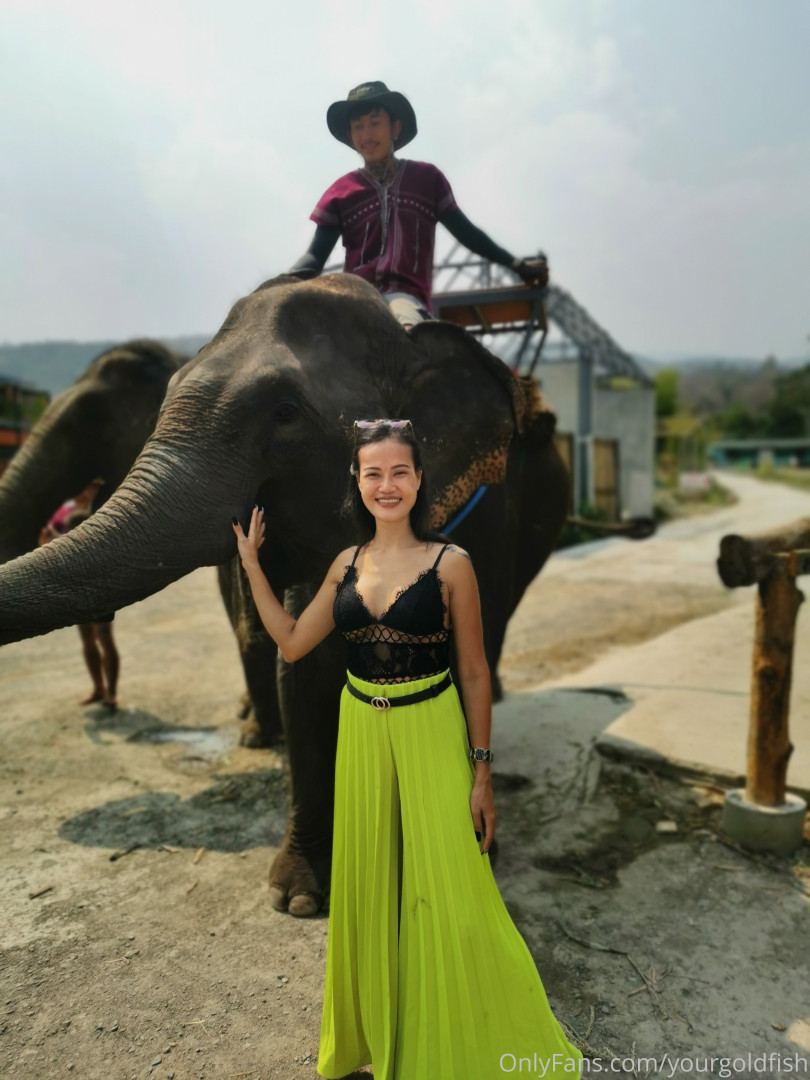 Photo by yourgoldfish published on May 15,2023 18:51:47 - BestThots