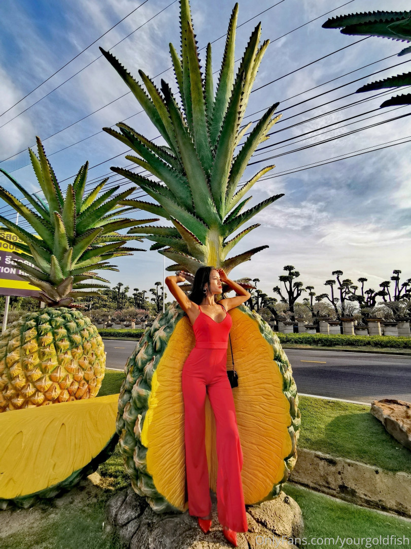 Photo by yourgoldfish published on May 15,2023 18:52:10 - BestThots