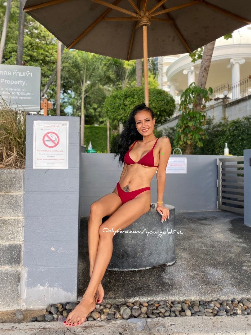 Photo by yourgoldfish published on May 15,2023 18:52:36 - BestThots