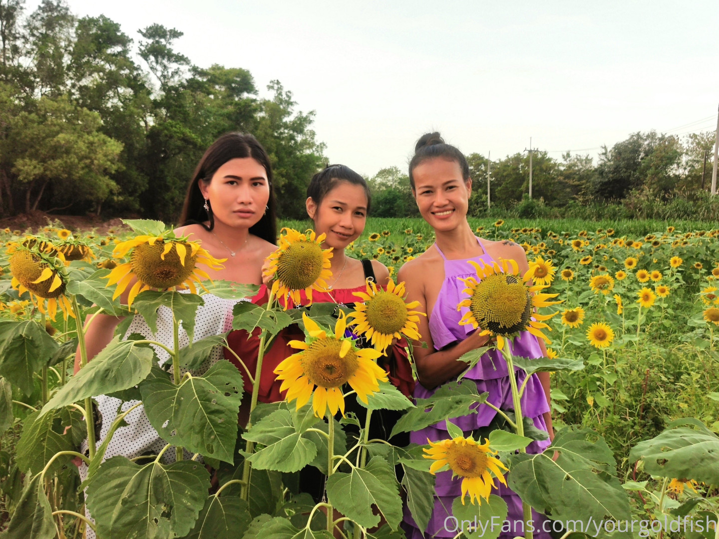 Photo by yourgoldfish published on May 15,2023 18:53:17 - BestThots