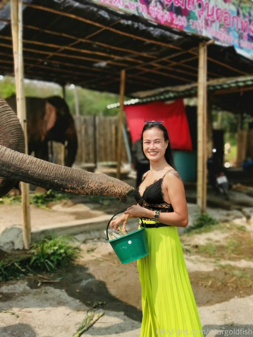 Photo by yourgoldfish published on May 15,2023 18:53:54 - BestThots