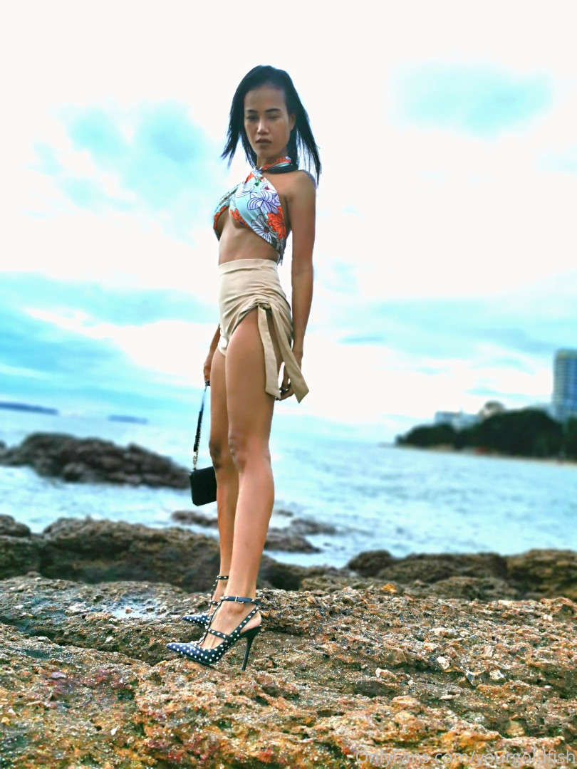 Photo by yourgoldfish published on May 15,2023 18:55:17 - BestThots