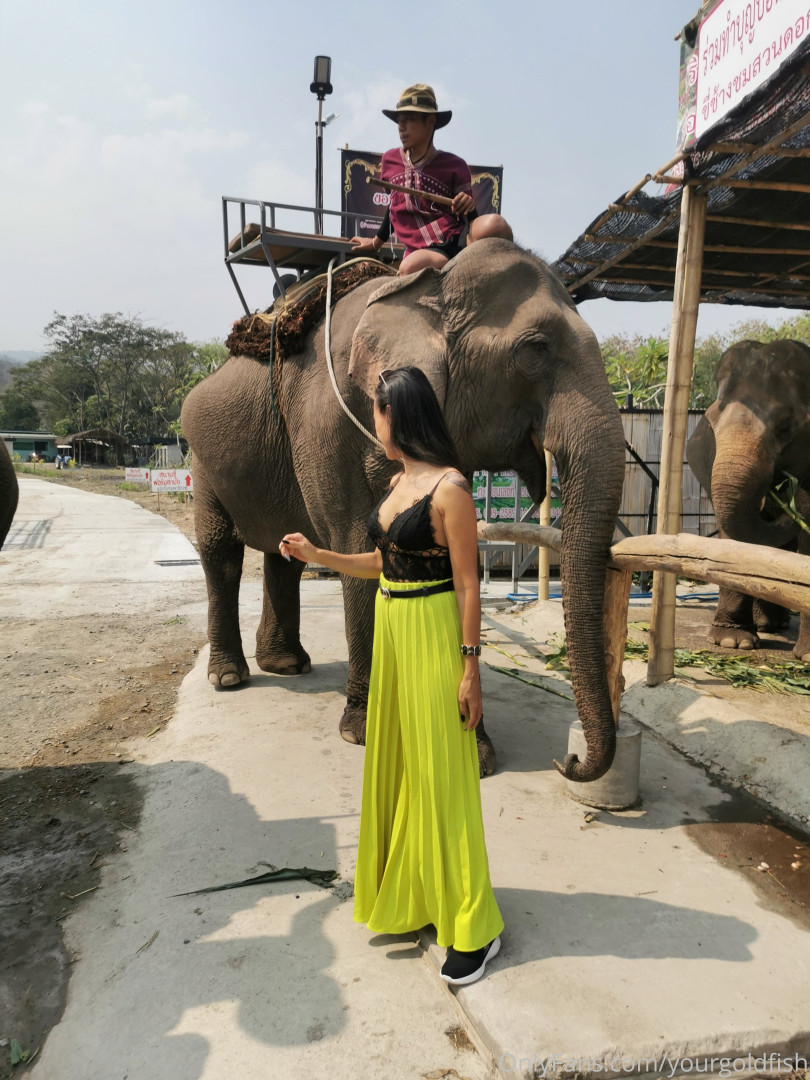 Photo by yourgoldfish published on May 15,2023 18:56:10 - BestThots