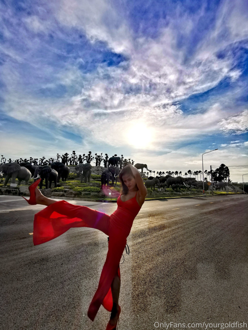 Photo by yourgoldfish published on May 15,2023 18:56:58 - BestThots