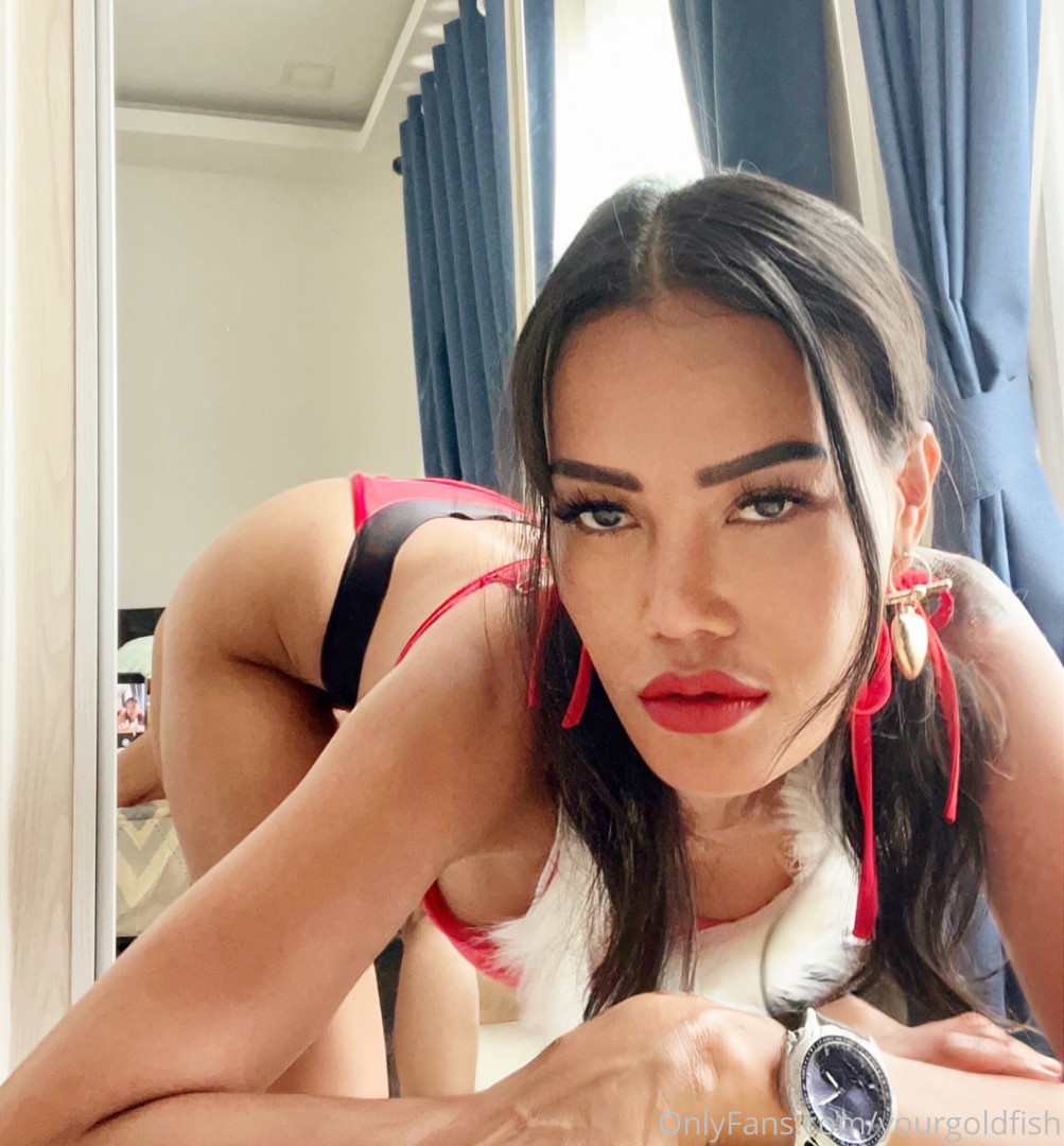 Photo by yourgoldfish published on May 15,2023 18:57:01 - BestThots