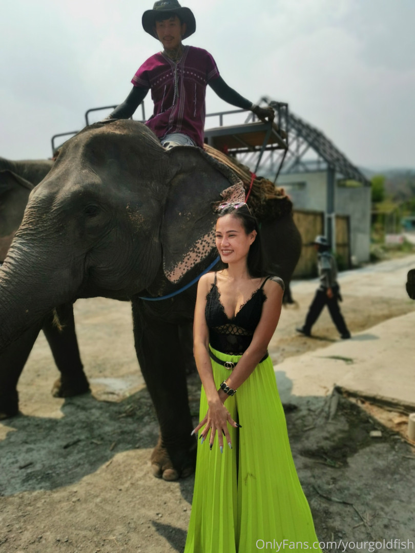 Photo by yourgoldfish published on May 15,2023 18:57:24 - BestThots