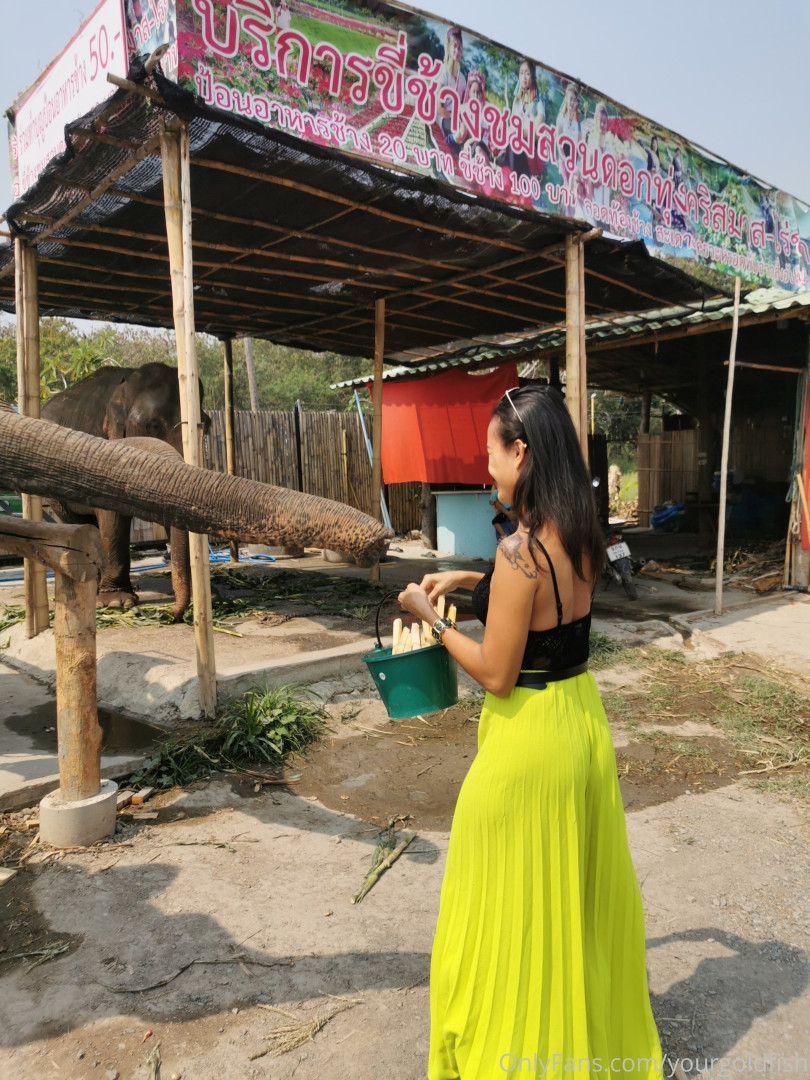 Photo by yourgoldfish published on May 15,2023 18:58:36 - BestThots