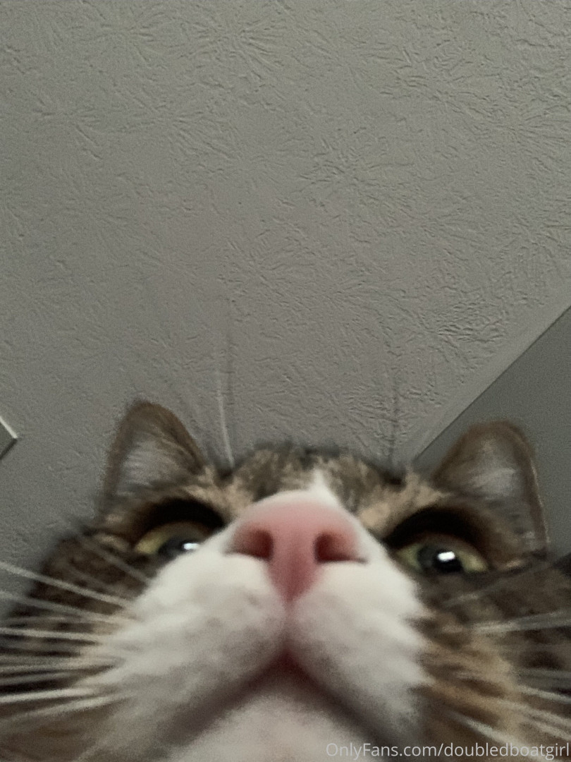 Photo by doubledboatgirl published on July 14,2023 07:32:03 - BestThots