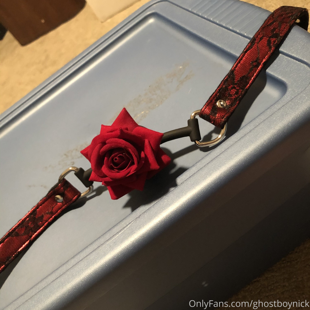 Photo by phantomspacefree published on May 19,2023 12:34:05 - BestThots