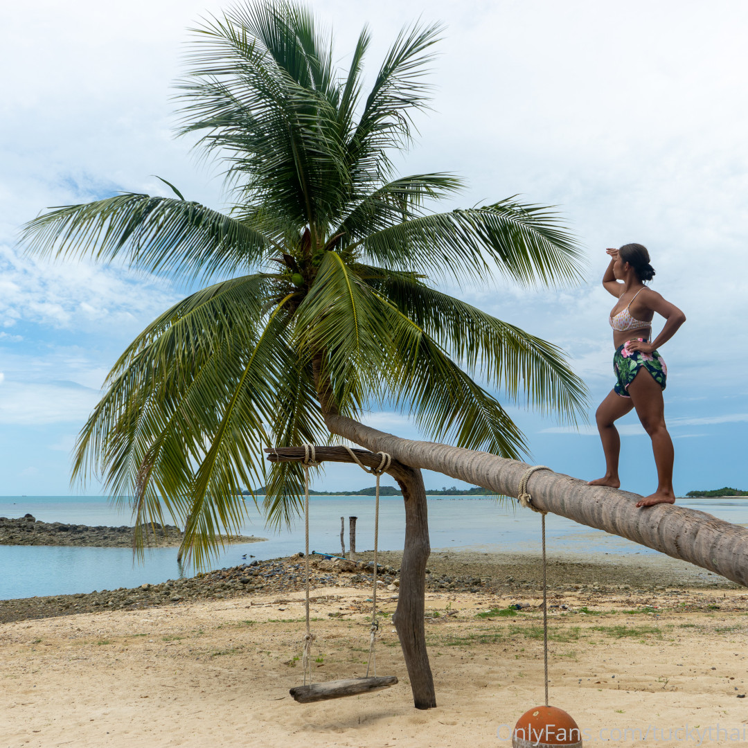 Photo by tuckythai published on October 16,2023 12:27:52 - BestThots