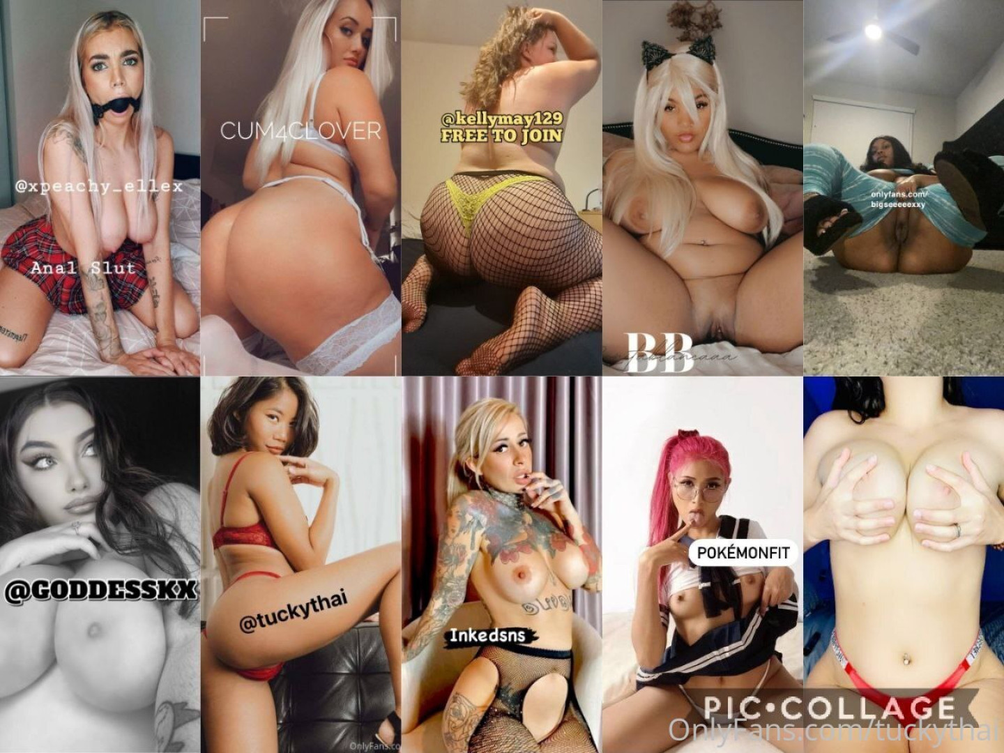 Photo by tuckythai published on October 16,2023 12:29:13 - BestThots