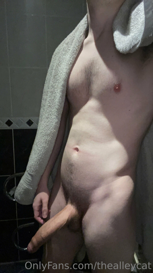 Photo by thealleycat published on May 17,2023 04:18:29 - BestThots