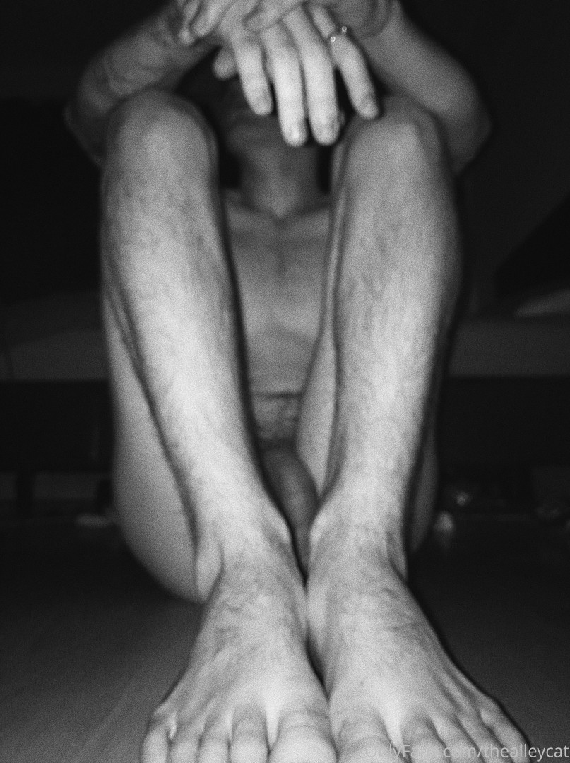 Photo by thealleycat published on May 17,2023 04:19:51 - BestThots