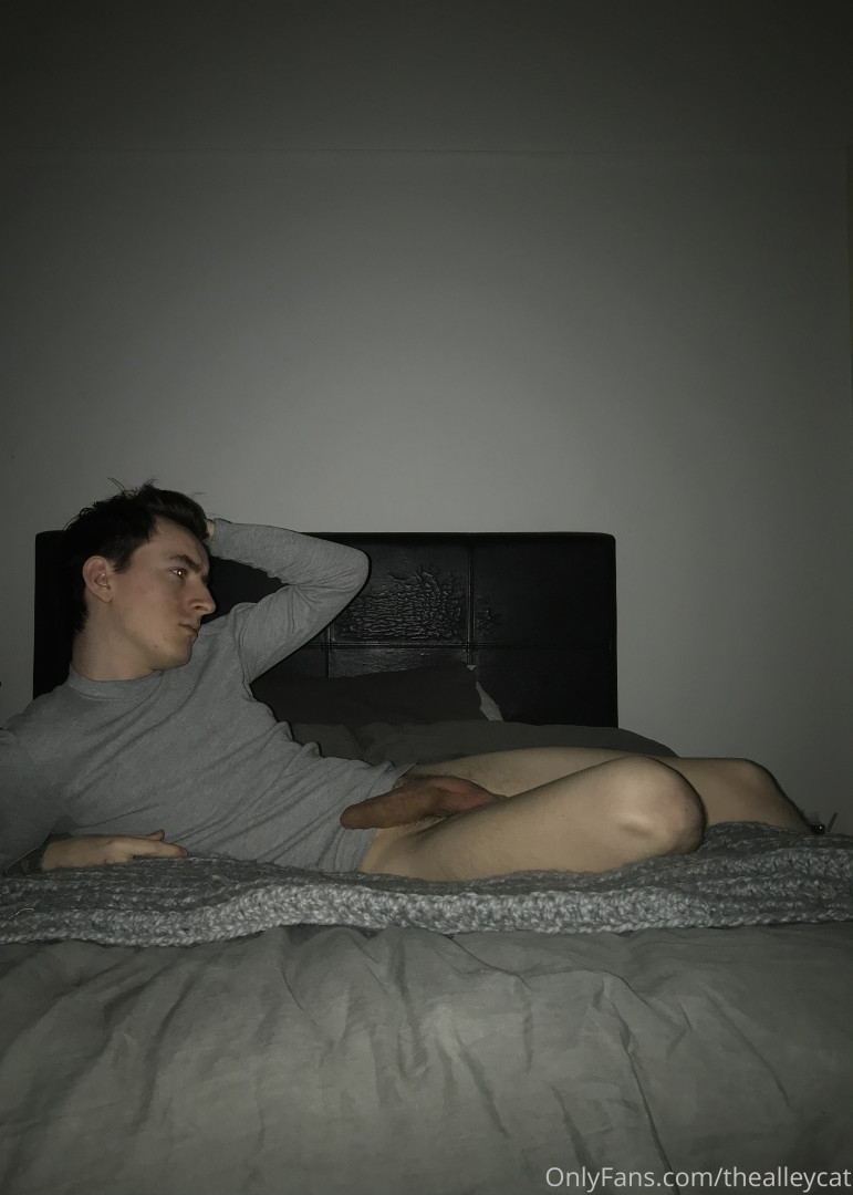 Photo by thealleycat published on May 17,2023 04:20:24 - BestThots