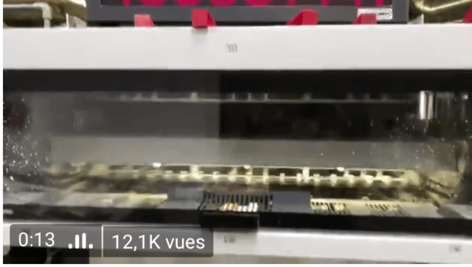 Photo by anissakate published on September 1,2023 01:30:06 - BestThots