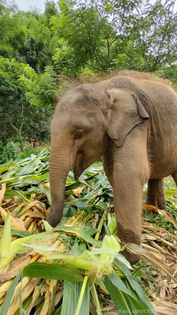 Photo by tillyknightvip published on May 16,2023 17:39:18 - BestThots