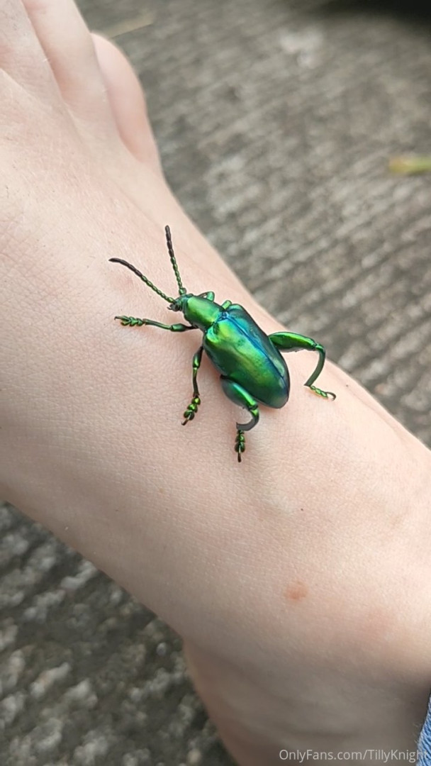 Photo by tillyknightvip published on May 16,2023 17:41:25 - BestThots